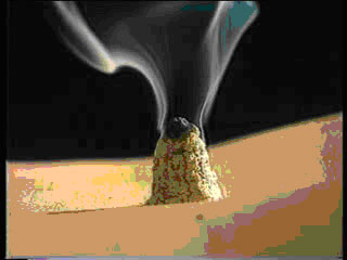 2010051206390698472.jpg 2010051206390698472.jpg